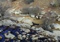 پیگیری آلودگی نفتی در منطقه سرخون / وزارت نفت اقدامات لازم را انجام دهد