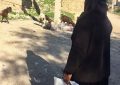 پیش ازفرا رسیدن سال نو،با حفظ کرامت انسانی نیازمندان را دریابید . پیش ازفرا رسیدن سال نو،با حفظ کرامت انسانی نیازمندان را دریابید .