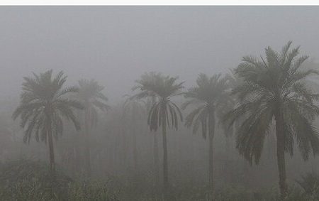 هشدار وقوع پدیده مه غلیظ برای پنج شنبه و جمعه خوزستان