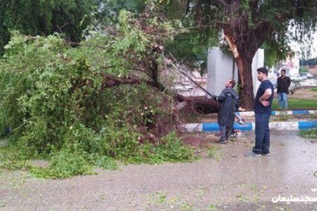 عملیات رفع آبگرفتگی معابر و جمع آوری درختان شکسته در نقاط مختلف شهر مسجدسلیمان اجرا شد