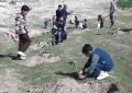 کاشت ۴۰ هزار بذر بادام کوهی در مسجدسلیمان کاشت ۴۰ هزار بذر بادام کوهی در مسجدسلیمان