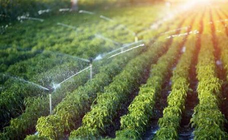 استفاده بهینه از منابع آب با اجرای سامانه آبیاری بارانی،در سبز آباد علیا از توابع  بخش گلگیر استفاده بهینه از منابع آب با اجرای سامانه آبیاری بارانی،در سبز آباد علیا از توابع  بخش گلگیر