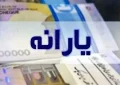 یارانه ۸ میلیون نفر قطع شد