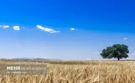 تکمیل طرحهای آبیاری لالی و هارکله نیازمند اعتبار فوری است تکمیل طرحهای آبیاری لالی و هارکله نیازمند اعتبار فوری است